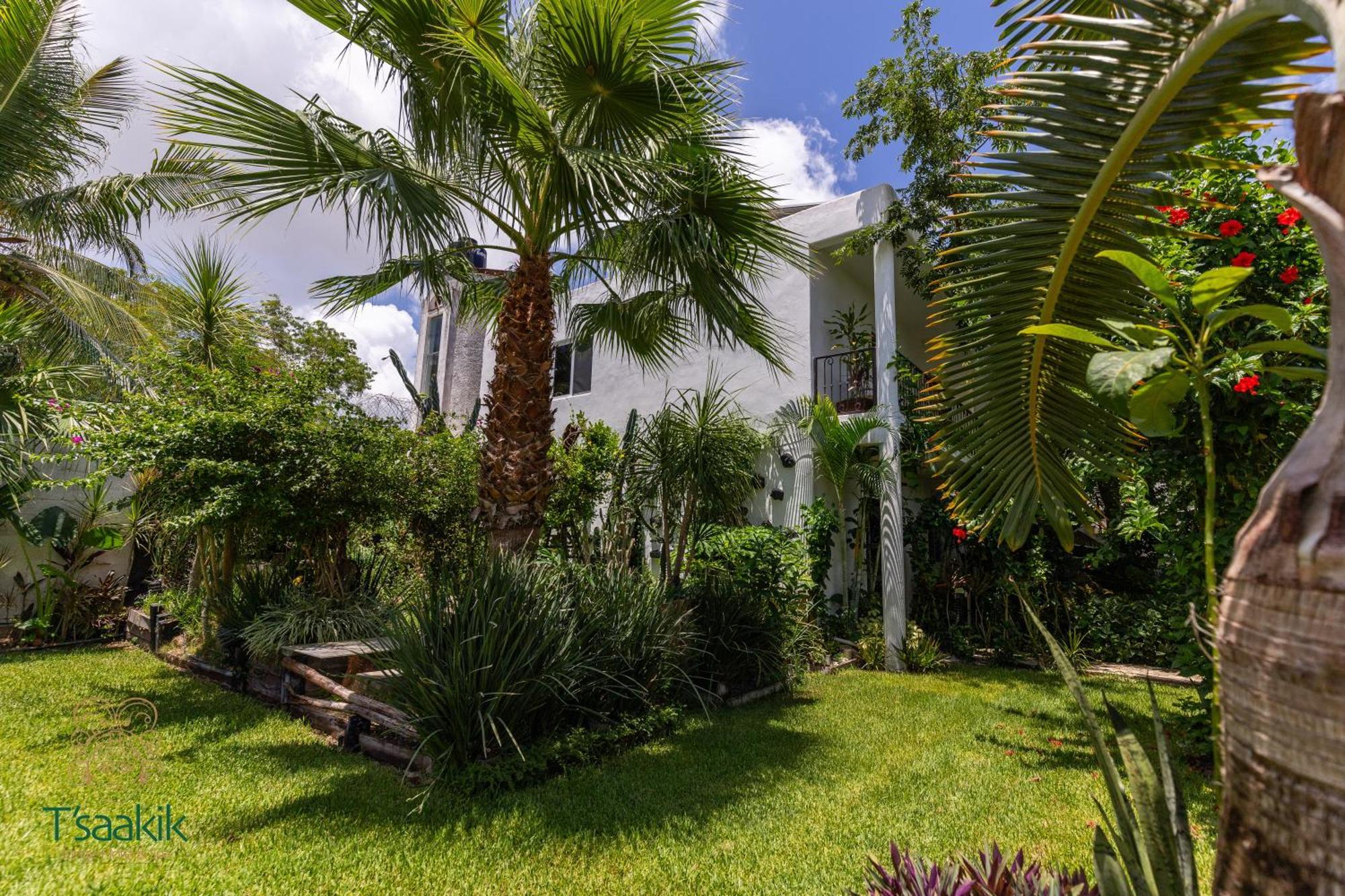 Tsaakik Jungle Hotel & Spa Cancun Dış mekan fotoğraf